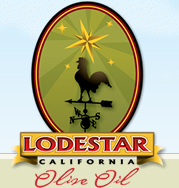 Lodestar Logo