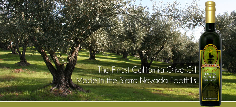 The Finest California Olive Oils Made in the Sierra Nevada Foothills