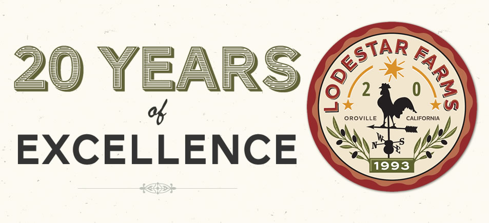 20 Years of Excellence